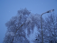 Winter 2010 (03-01) / 2