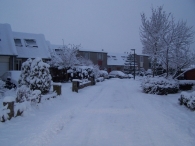 Winter 2010 (03-01) / 2