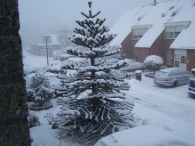 Winter 2010 (03-01) / 2