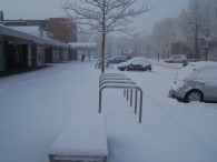 Winter 2010 (03-01) / 2