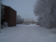 Winter 2010 (03-01) / 2