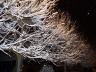 Winter 2010 (03-01) / 2
