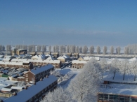 Winter 2010 (03-01) / 2