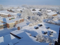 Winter 2010 (03-01) / 2