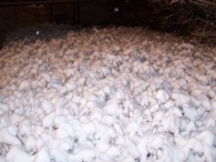 Winter 2010 (03-01) / 2