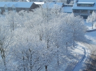 Winter 2010 (03-01) / 2
