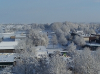 Winter 2010 (03-01) / 2