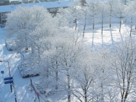 Winter 2010 (03-01) / 2