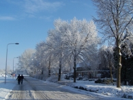 Winter 2010 (03-01) / 2