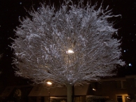 Winter 2010 (03-01) / 2