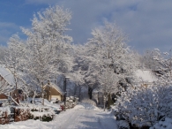 Winter 2010 (03-01) / 2