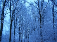 Winter 2010 (03-01) / 2