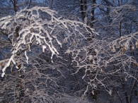 Winter 2010 (03-01) / 2