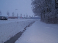 Winter 2010 (03-01) / 2