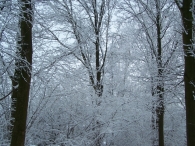 Winter 2010 - Zeebiesweg