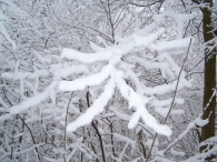 Winter 2010 - Zeebiesweg