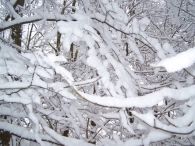 Winter 2010 - Zeebiesweg
