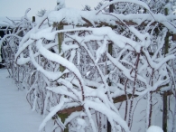 Winter 2010 - Zeebiesweg