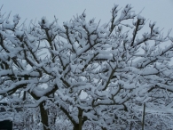 Winter 2010 - Zeebiesweg