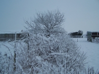 Winter 2010 - Zeebiesweg