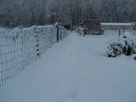 Winter 2010 - Zeebiesweg