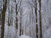 Winter 2010 - Zeebiesweg