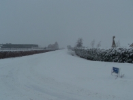 Winter 2010 - Zeebiesweg