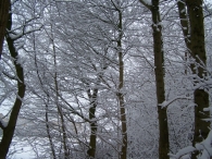 Winter 2010 - Zeebiesweg