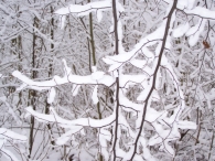 Winter 2010 - Zeebiesweg