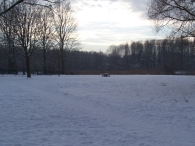 Winter 2010 - Het Eiland