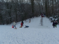 Winter 2010 - Het Eiland