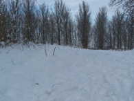 Winter 2010 - Het Eiland