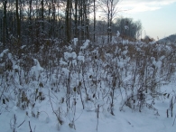 Winter 2010 - Het Eiland