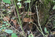 Herfst 2012