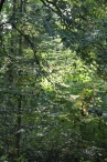 Herfst 2012