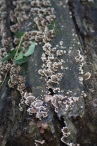 Herfst 2012