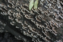 Herfst 2012