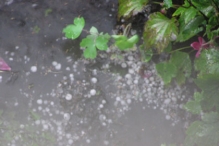 Regen en Hagel