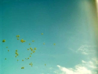 40 Jaar Biddinghuizen