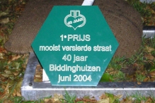 40 Jaar Biddinghuizen Liever Live (1)