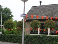40 Jaar Biddinghuizen Versierde Straten (3)