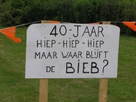 40 Jaar Biddinghuizen Versierde Straten (3)