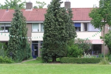 40 Jaar Biddinghuizen Versierde straten