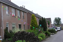 40 Jaar Biddinghuizen De Zaaiviool