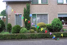 40 Jaar Biddinghuizen De Zaaiviool