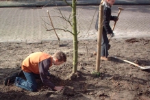 Boomfeestdag 2004
