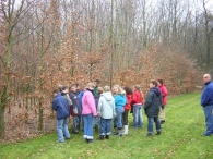 Boomfeestdag 2005