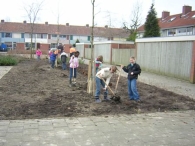 Boomfeestdag 2005