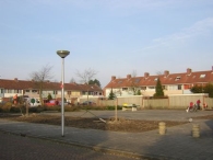 Boomfeestdag 2005
