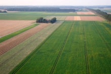 Vanaf een windmolen op 60m hoogte